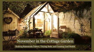 Autumn Cottage Garden Retreat 🍂 Relaxing November Garden Update [upl. by Yasmeen]