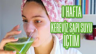 1 HAFTA KEREVİZ SAPI SUYU İÇTİM VE SONUCUNDA NELER OLDU 🥬 celeryjuicechallenge [upl. by Fredelia]