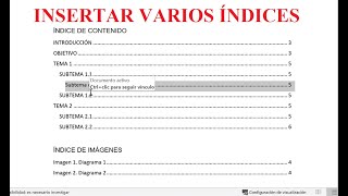 Como insertar varios índices en un documento de Word para Tesis 365 2016 2024 Fácil y rápido [upl. by Naillij]