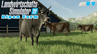 LS22 Alpen Farm 7 RINDER mit Wasser versorgen amp Restliche Ballen einsammeln  FARMING SIMULATOR 22 [upl. by Aenat]