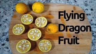 Wild Edibles Flying Dragon Fruit Trifoliate Orange [upl. by Anaiuq534]