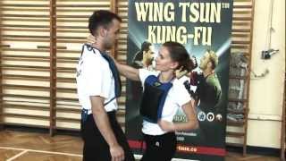 LEUNG TING WING TSUN KUNGFU PROMO [upl. by Natassia356]