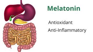 Understanding Melatonin with Dr Carrie Jones [upl. by Baudoin]