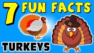 7 FUN FACTS ABOUT TURKEYS TURKEY FACTS FOR KIDS Thanksgiving Learning Colors Funny Sock Puppet [upl. by Gnuhc992]