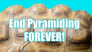 How To Stop Your Tortoise From Pyramiding [upl. by Tertia]