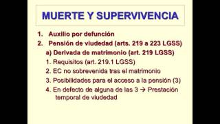 Lec009 Protección a la familia Muerte y Supervivencia y Prestaciones familiares umh1445sp 201617 [upl. by Atihana]