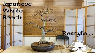 Restyling a Japanese White Beech  Greenwood Bonsai [upl. by Lyons]