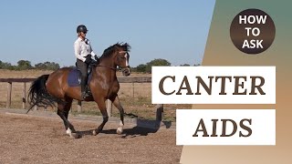 Canter Transitions  How To Ask For Canter [upl. by Gnilrets]