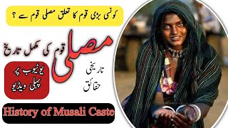 Caste History of Musali مسلی قوم مکمل تاریخ Caste History of Musali In UrduHindi by InformationTv [upl. by Attevad]