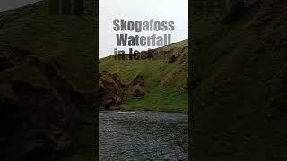 Skogafoss Waterfall in Iceland [upl. by Ahsinra919]