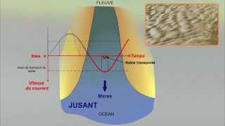 9b  Les sédiments déposés par les marées [upl. by Aiza]