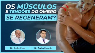 Os músculos e tendões do ombro se regeneram  Dr Carlos Macedo amp Dr André Kruel [upl. by Revert]