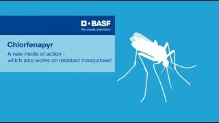 Chlorfenapyr – a new approach against resistant mosquitoes [upl. by Nollek]