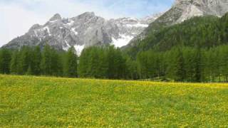 Inno al Trentino [upl. by Grof]