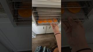 Dehydrating persimmons dehydrating food persimmon [upl. by Nazar124]