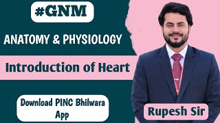 GNM  HEART ANATOMY  HEART INTRODUCTION  CARDIOVASCULAR SYSTEM  HEART ANATOMY amp PHYSIOLOGYHEART [upl. by Aloivaf]