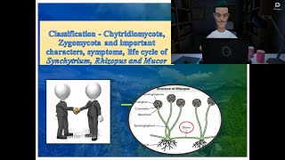 Chytridiomycota amp Zygomycota  Symptoms and life cycle of Synchytrium Rhizopus amp Mucor [upl. by Karilla]