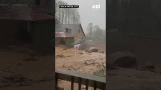 A wall of water and mud rushes down the hill in Sugar Grove NC due to Helene flooding [upl. by Richmond]