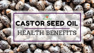 Best Health Benefits Of Castor Seed Oil  Uses Of Castor Seed Oil [upl. by Abell542]