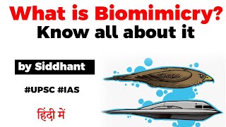 What is Biomimicry Things we can learn from the Nature UPSC IAS [upl. by Erodroeht]