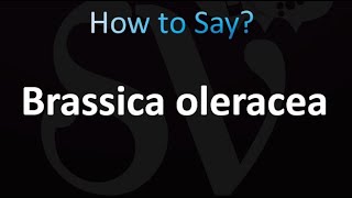 How to Pronounce Brassica oleracea correctly [upl. by Dann]