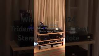 What Hi Fi 2024 Trident Hyderabad Best Stereo Audio Note [upl. by Adnof]