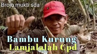 KANG BIDUNKANG KRISNA HAMPIR GAK BISA PULANG NYASAR DIHUTAN [upl. by Tasia]