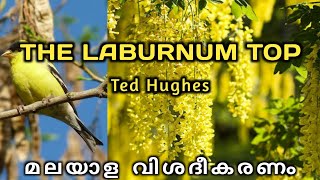 The Laburnum Top  Malayalam Explanation  CBSE Class 11 English [upl. by Sorce]