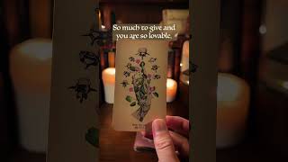 You Are Turning Heads  tarot tarotreading lovetarot [upl. by Enyaz26]