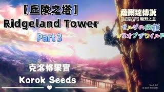 【NS】薩爾達傳說曠野之息克洛格果實丘陵之塔The Legend of Zelda Breath of the Wild Ridgeland Korok Seeds [upl. by Orlina]