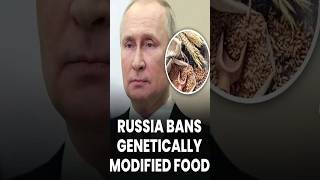 Russia bans america modified food sources from america  Toxic food  russia food fact putin [upl. by Naed]