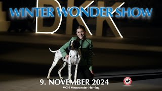 DKKs Winter Wonder Show 2024  Denmark [upl. by Rosina10]