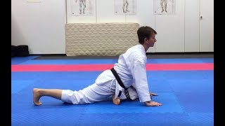 Ushiro Geri  Mobility TrainingKiKarateTanja Mayer [upl. by Yaya514]