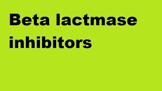 Beta Lactamase Inhibitors [upl. by Anagnos544]