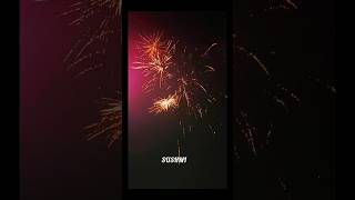 Diwali song by Vishal Mishra youtubeshortsfirecrackeratoshbajihappydiwalistatus [upl. by Ailemor120]