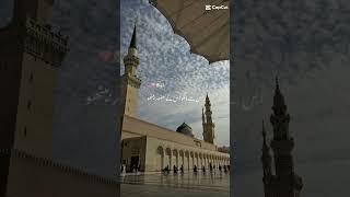 Ahmed Raza Qadri Bayan foryou shortsviral [upl. by Teiv]