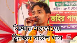 অল্প বয়সে প্রেম শিখাইয়া চলে গেলে তুমি  মিজান সরকারের নতুন গান Alpo Boyse Prem Shikhaiya 2024 [upl. by Ahsinuq]