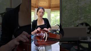 HurdyGurdy Basics  Whats the buzz hurdygurdy [upl. by Ragg]