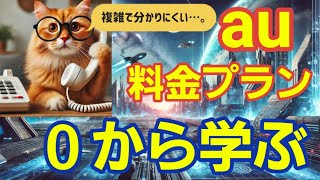 【徹底解説】複雑なスマホ料金プランの分かり易く解説【au】 [upl. by Rhodie676]