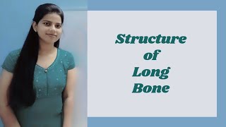 Structure of Long Bone  Human anatomy and physiology  Bpharm first sem [upl. by Bleier694]