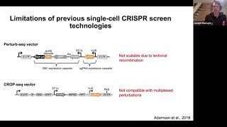 Scalable amp combinatorial singlecell CRISPR screens by direct gRNA capture amp targeted sequencing [upl. by Aicenet]