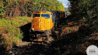 ONR 214 ON 2101 at Laurier woods 10022024 [upl. by Suirauqed]