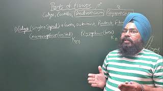 Morphology of Flowering Plants Lecture 05 [upl. by Ailaza]