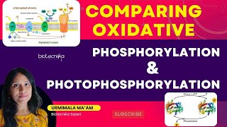 Comparing Oxidative Phosphorylation and Photophosphorylation For CSIR NET  ICMR GATE  DBT  TIFR [upl. by Allicserp548]