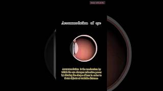 Accommodation of Eye animation shorts eyeanatomy eye eyes optometrystudent optometry [upl. by Graves124]