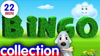 Un Fermier Avait Un Chien Qui S’appelait Bingo Collection  ChuChu TV Chansons [upl. by Calder]