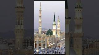 music tauhidnetwork trending love deen shortsfeed beautiful shorts naat trending bayan [upl. by Ailisec]