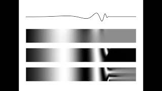 Traveling Waves in a 2D Model of the Cochlea [upl. by Anar]