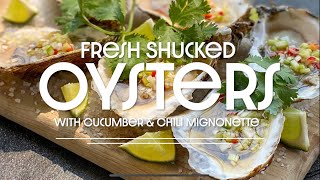 Fresh Shucked Oysters with Cucumber Chili Mignonette oyster seafood recipe [upl. by Teriann179]