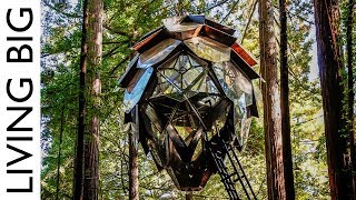 The Pinecone Treehouse A Spectacular Tiny Home In The Trees [upl. by Nodnil]